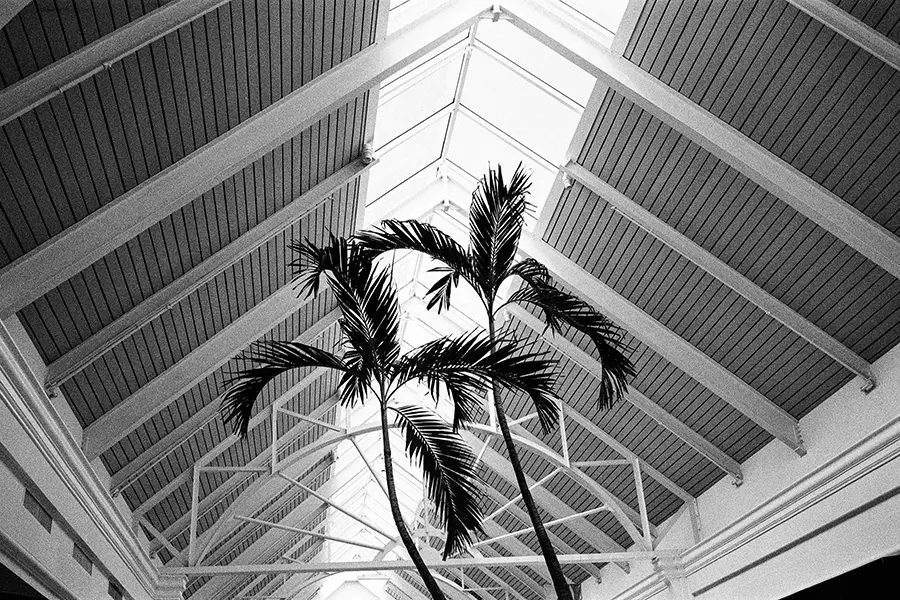 A 35mm black-and-white film scan logged in FilmLedger.
